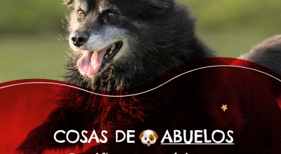 FELIZ DIA DEL ABUELO!!!
