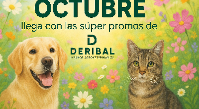 Promo de Octubre