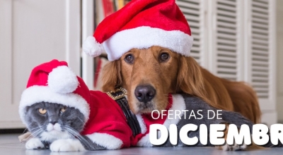 Promo de Diciembre