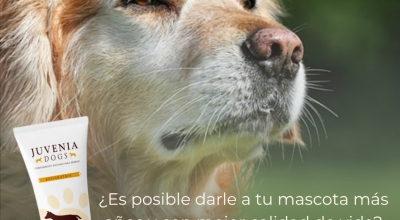 Mejorando la calidad de vida