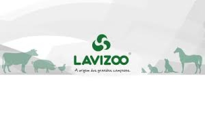 Nuevos productos de Laboratorio LAVIZOO!!
