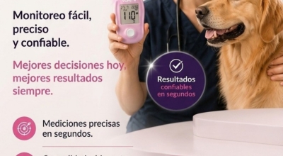 Novedades para tu veterinaria: control de glucosa, calidad IBASA y cuidado del cuero